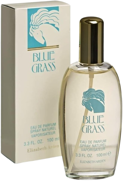 ELIZABETH ARDEN BLUE GRASS WOMAN 3.4 EDP
